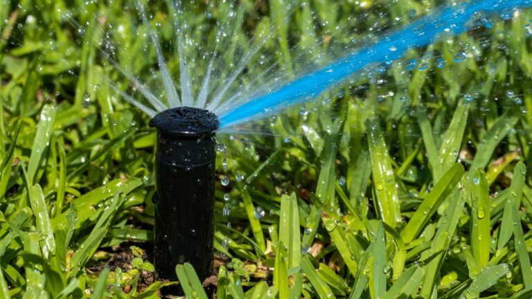 Best Sprinkler Head Types for Clay Soil Yards in Addison Texas