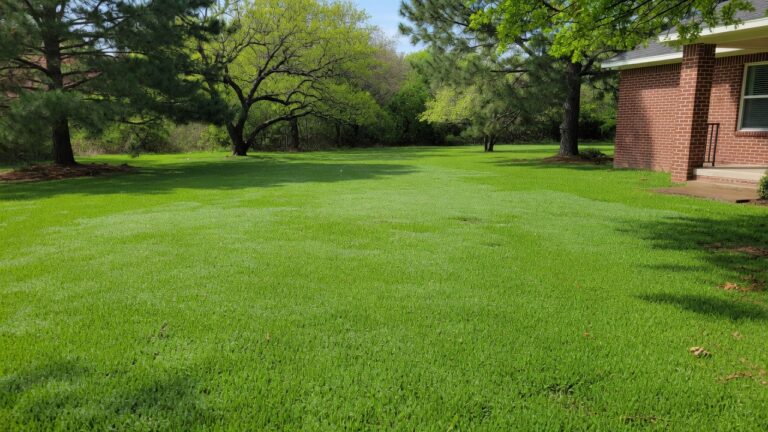 How to Prepare Your Sprinkler System Before Summer Heat Waves
